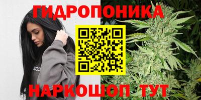 прущая мука Гусиноозёрск