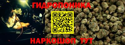 прущая мука Гусиноозёрск