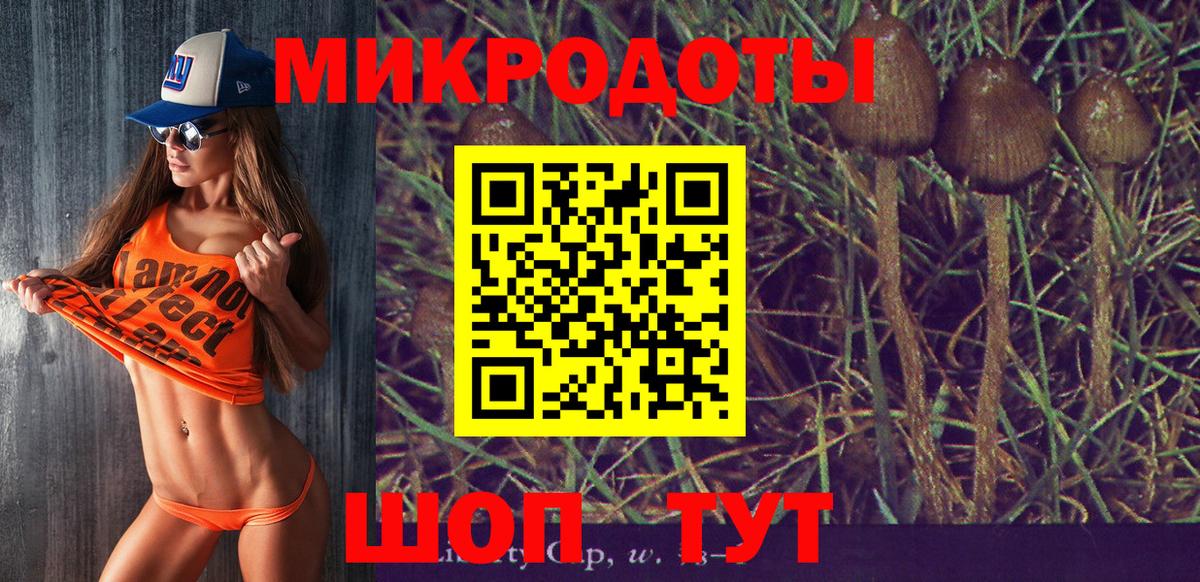 Псилоцибиновые грибы мицелий Менделеевск